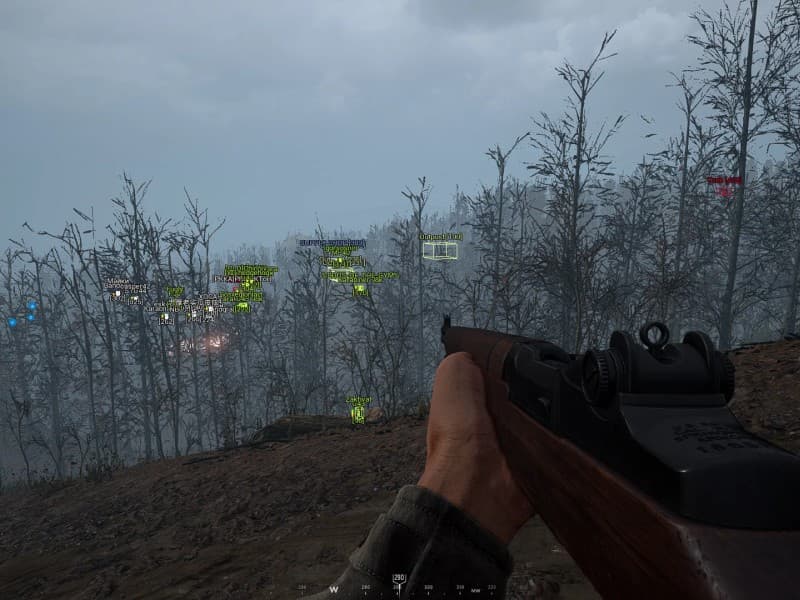ESP/Wallhack Options